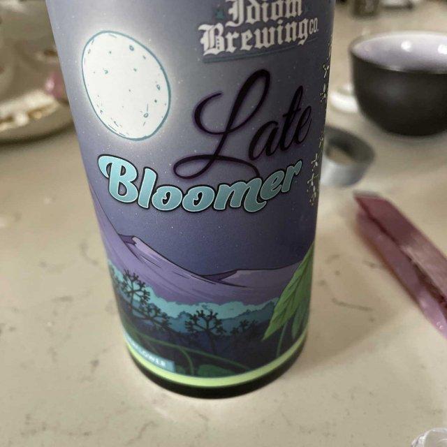 Idiom Brewing Late Bloomer ESB