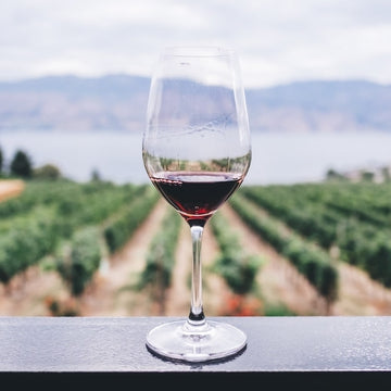 Introduction to Wine Tasting