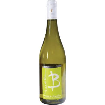 Domaine Brazilier "Tradition" Côteaux du Vendômois Blanc - 2023