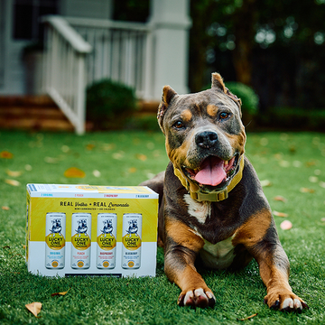 Lucky One Vodka Lemonade Variety Pack