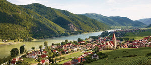   Austrian Wine 