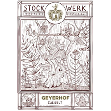 Geyerhof Kremstal Zweigelt StockWerk - 2019