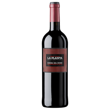 Bodegas Arzuaga La Planta Ribera del Duero - 2021